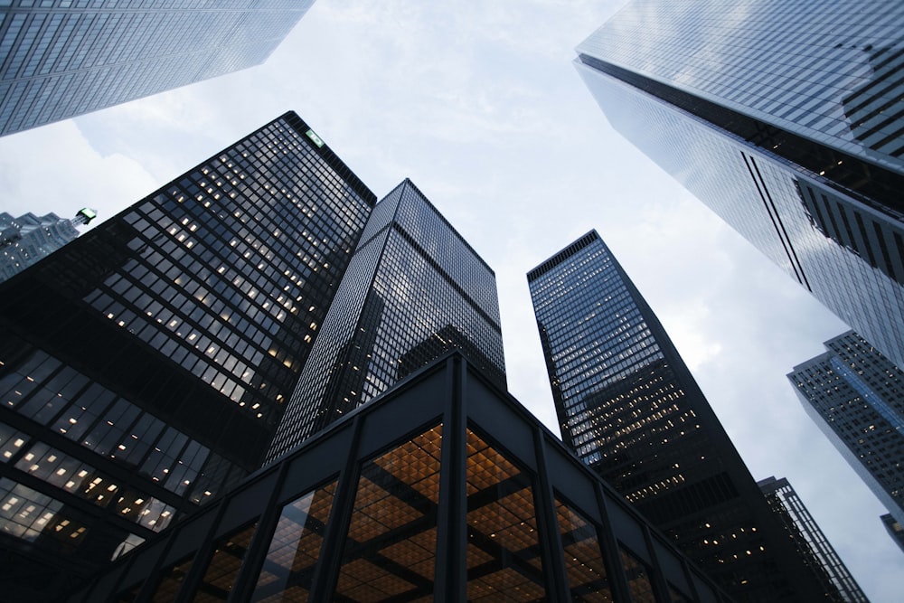 Finance & Private Equity